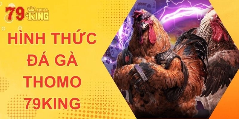 Đá Gà Thomo 79KING - Hình Thức Chọi Kê Trực Tuyến Hàng Đầu